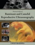 Practical Atlas of Ruminant and Camelid Reproductive Ultrasonography