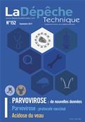 Parvovirose : de nouvelles données (PDF interactif)
