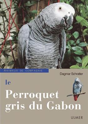 Le Perroquet gris du Gabon