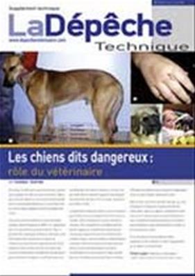 Les chiens dits dangereux : rôle du vétérinaire