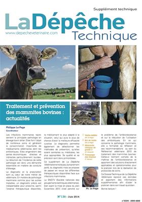 Traitement et prévention des mammites bovines : actualités (PDF interactif)
