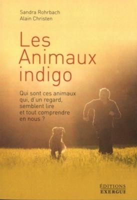 Les animaux indigo - Qui sont ces animaux qui, d'un regard, semblent lire et tout comprendre en nous ?