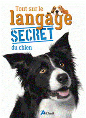 Tout sur le langage secret du chien