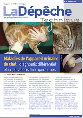 Maladies de l'appareil urinaire du chat : diagnostic différentiel et implications thérapeutiques