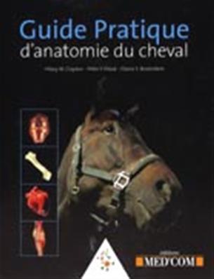 Guide Pratique d'anatomie du cheval
