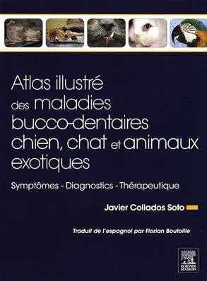 Atlas illustré des maladies bucco-dentaires chien