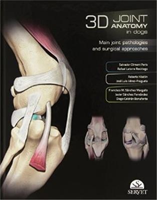 3D Joint anatomy in dogs Main joint pathologies and surgical approaches