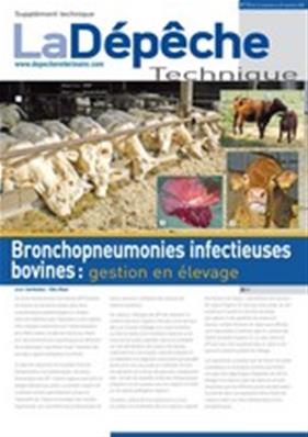 Bronchopneumonies infectieuses bovines : gestion en élevage