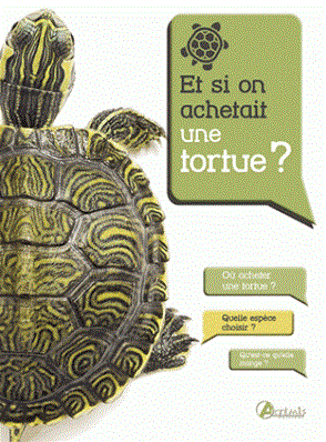Et si on achetait une tortue ?