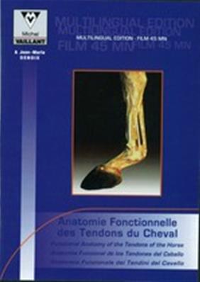 DVD - Anatomie fonctionnelle des tendons du cheval