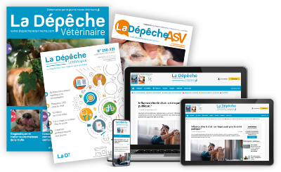 ABONNEMENT A LA DEPECHE VETERINAIRE - 1 AN