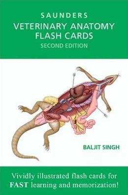 Saunders Veterinary Anatomy Flash Cards, 2nd Edition