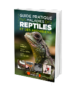 Guide pratique des maladies reptiles et des amphibiens