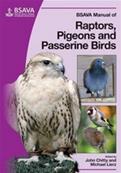 BSAVA Manual of Raptors, Pigeons and Passerine Birds