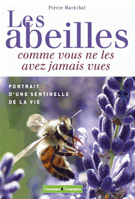 Les abeilles comme vous ne les avez jamais vues