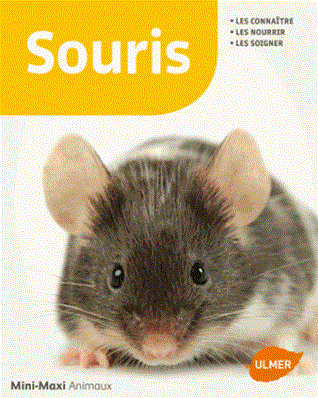 Les souris - Les connaître, les nourrir, les soigner