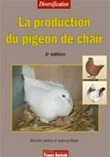 La production des pigeons de chair