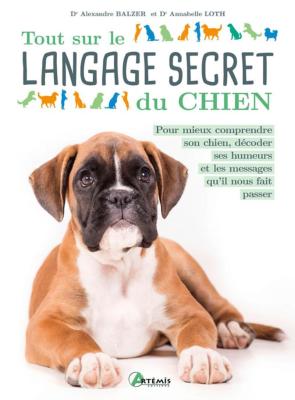 Tout sur le langage secret du chien