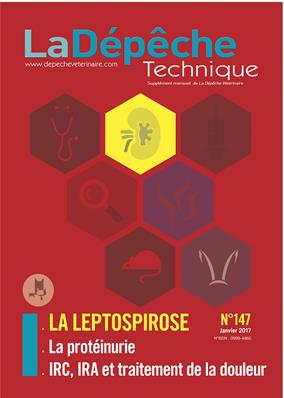 La leptospirose canine et féline (PDF interactif)