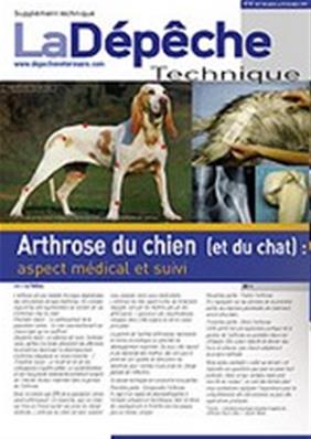 Arthrose du chien et du chat : aspect médical et suivi