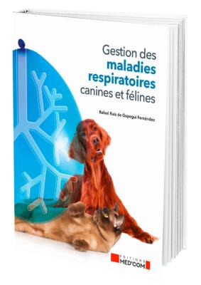Gestion des maladies respiratoires canines et félines