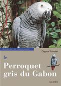 Le Perroquet gris du Gabon
