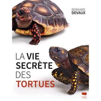 La vie secrète des tortues