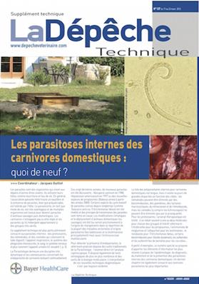 Les parasitoses internes des carnivores domestiques : quoi de neuf ? (PDF interactif)