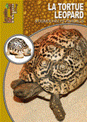 La tortue léopard