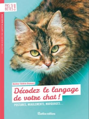 Décodez le langage de votre chat ! - Postures, miaulements, marquagesÖ