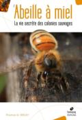 L'abeille à miel - La vie secrète des colonies sauvages
